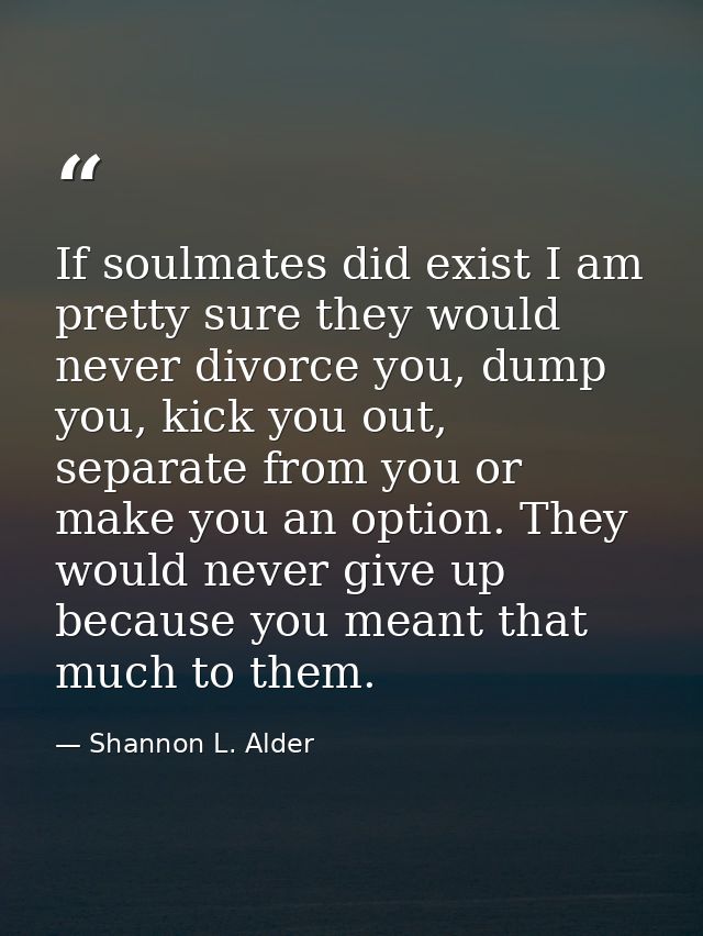If soulmates did exist I am pretty sure they would never divorce you, dump you, kick you out, separate from you or make  — Shannon L. Alder