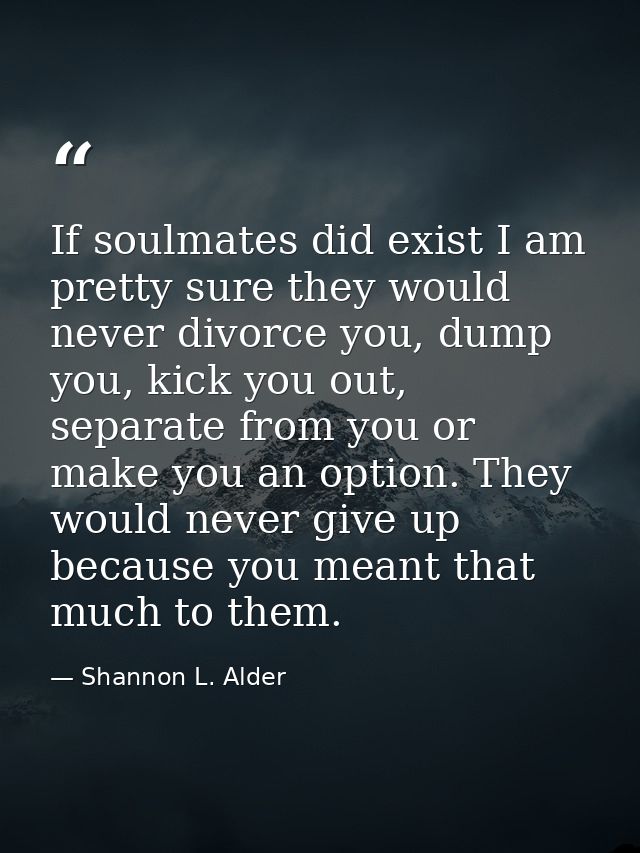 If soulmates did exist I am pretty sure they would never divorce you, dump you, kick you out, separate from you or make  — Shannon L. Alder