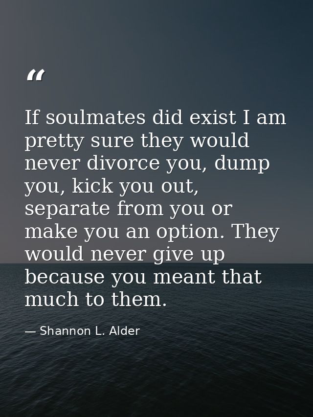 If soulmates did exist I am pretty sure they would never divorce you, dump you, kick you out, separate from you or make  — Shannon L. Alder