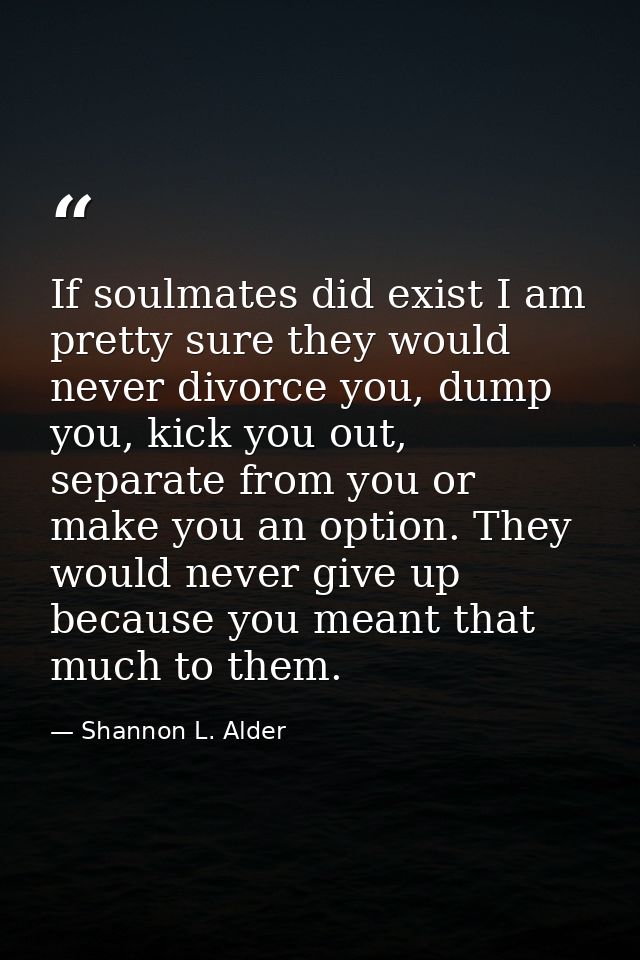 If soulmates did exist I am pretty sure they would never divorce you, dump you, kick you out, separate from you or make  — Shannon L. Alder