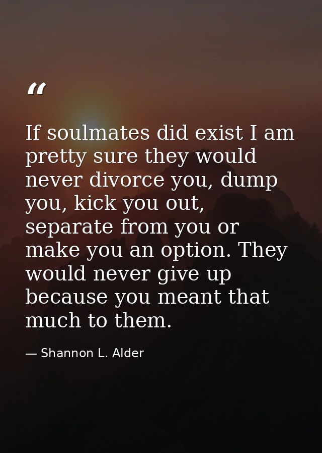 If soulmates did exist I am pretty sure they would never divorce you, dump you, kick you out, separate from you or make  — Shannon L. Alder
