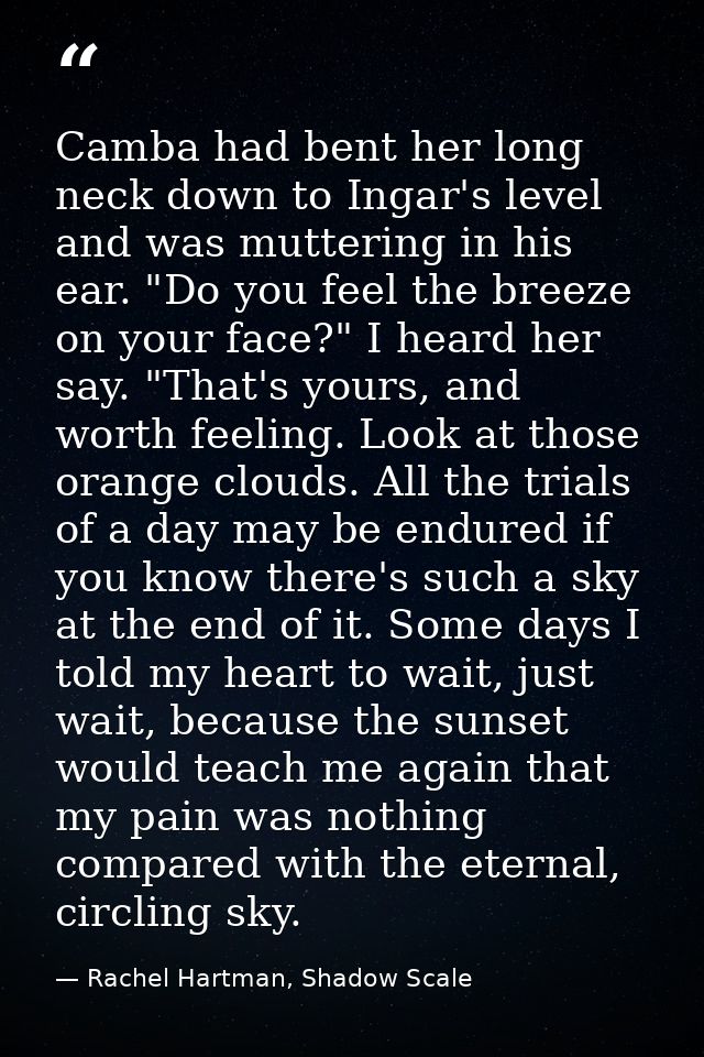 Camba had bent her long neck down to Ingar's level and was muttering in his ear. "Do you feel the breeze on your face?"  — Rachel Hartman, Shadow Scale