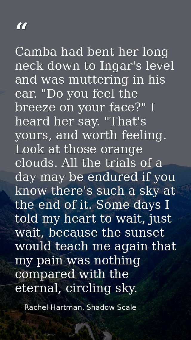 Camba had bent her long neck down to Ingar's level and was muttering in his ear. "Do you feel the breeze on your face?"  — Rachel Hartman, Shadow Scale