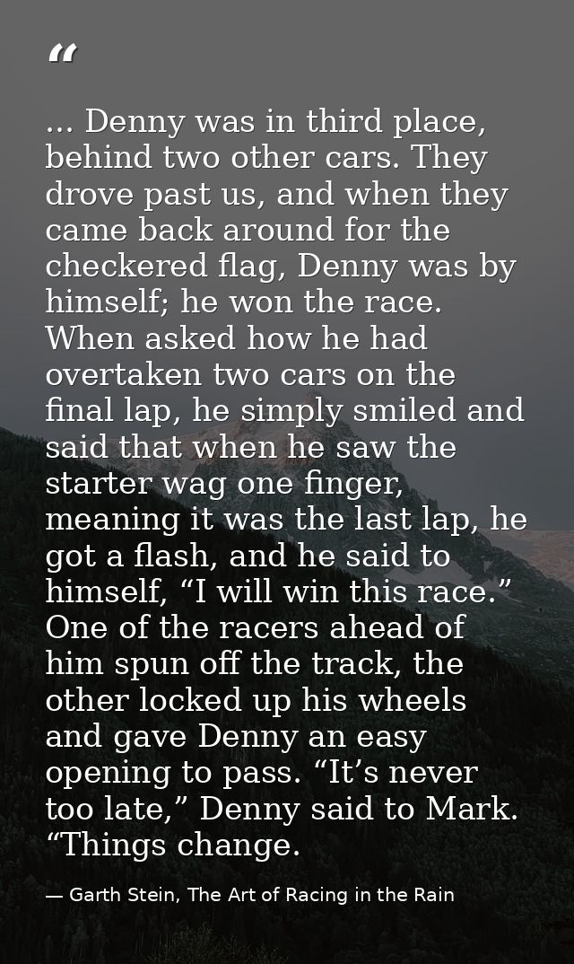 ... Denny was in third place, behind two other cars. They drove past us, and when they came back around for the checkere — Garth Stein, The Art of Racing in the Rain