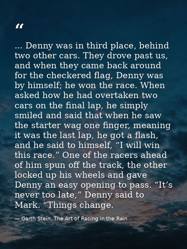 ... Denny was in third place, behind two other cars. They drove past us, and when they came back around for the checkere — Garth Stein, The Art of Racing in the Rain