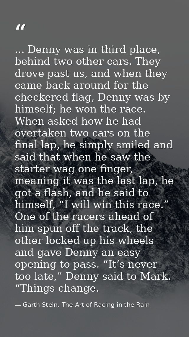 ... Denny was in third place, behind two other cars. They drove past us, and when they came back around for the checkere — Garth Stein, The Art of Racing in the Rain