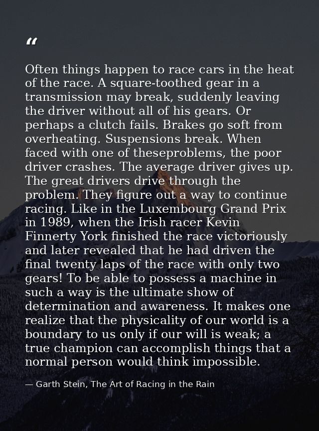 Often things happen to race cars in the heat of the race. A square-toothed gear in a transmission may break, suddenly le — Garth Stein, The Art of Racing in the Rain