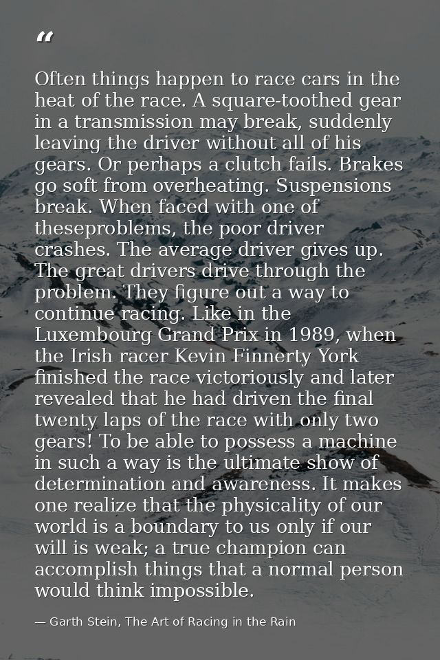 Often things happen to race cars in the heat of the race. A square-toothed gear in a transmission may break, suddenly le — Garth Stein, The Art of Racing in the Rain