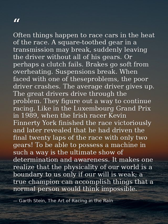 Often things happen to race cars in the heat of the race. A square-toothed gear in a transmission may break, suddenly le — Garth Stein, The Art of Racing in the Rain