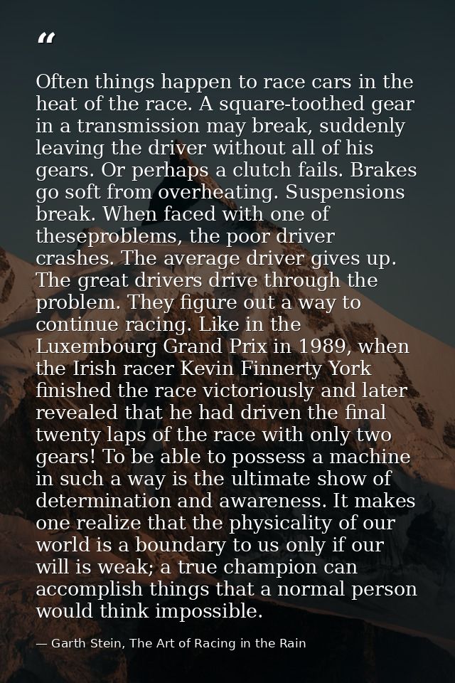 Often things happen to race cars in the heat of the race. A square-toothed gear in a transmission may break, suddenly le — Garth Stein, The Art of Racing in the Rain