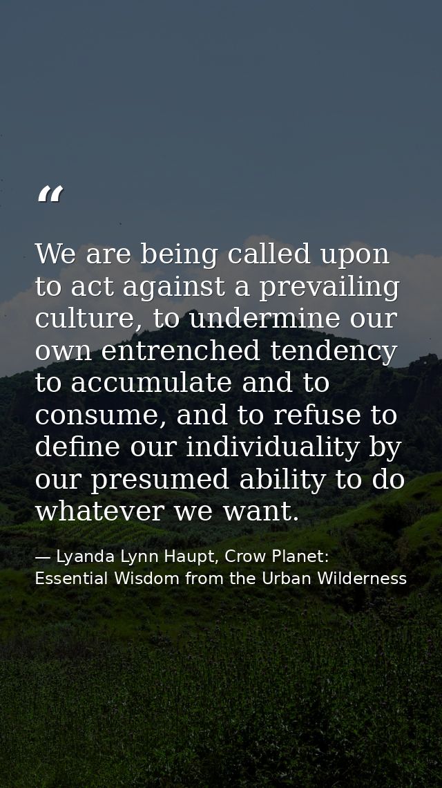 We are being called upon to act against a prevailing culture, to undermine our own entrenched tendency to accumulate and — Lyanda Lynn Haupt, Crow Planet: Essential Wisdom from the Urban Wilderness