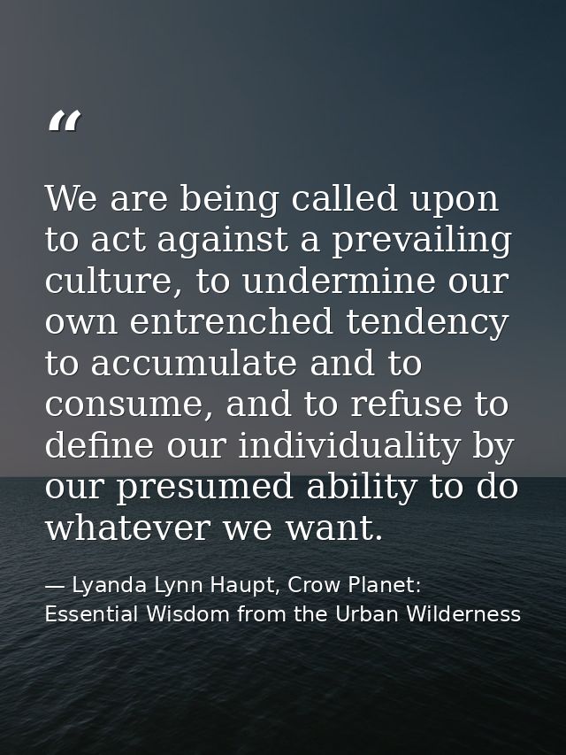 We are being called upon to act against a prevailing culture, to undermine our own entrenched tendency to accumulate and — Lyanda Lynn Haupt, Crow Planet: Essential Wisdom from the Urban Wilderness