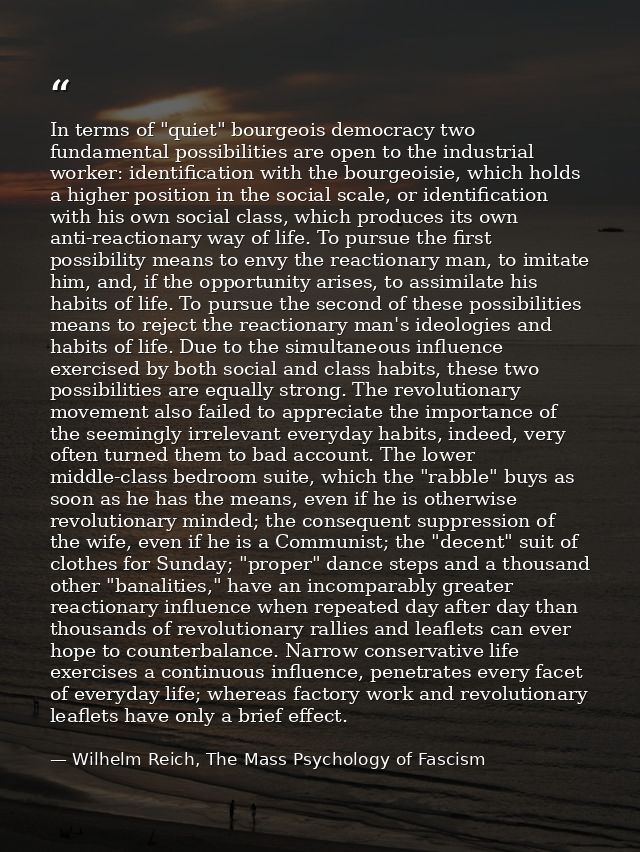 In terms of "quiet" bourgeois democracy two fundamental possibilities are open to the industrial worker: identification  — Wilhelm Reich, The Mass Psychology of Fascism