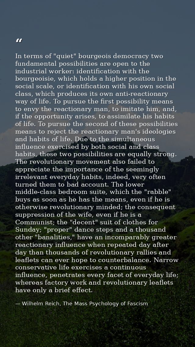 In terms of "quiet" bourgeois democracy two fundamental possibilities are open to the industrial worker: identification  — Wilhelm Reich, The Mass Psychology of Fascism
