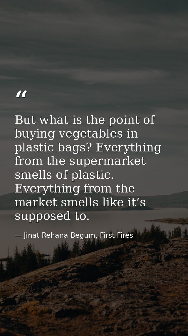 But what is the point of buying vegetables in plastic bags? Everything from the supermarket smells of plastic. Everythin — Jinat Rehana Begum, First Fires