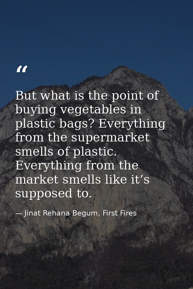 But what is the point of buying vegetables in plastic bags? Everything from the supermarket smells of plastic. Everythin — Jinat Rehana Begum, First Fires