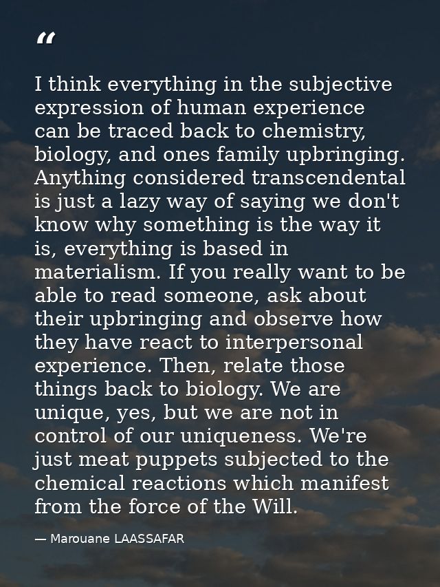 I think everything in the subjective expression of human experience can be traced back to chemistry, biology, and ones f — Marouane LAASSAFAR