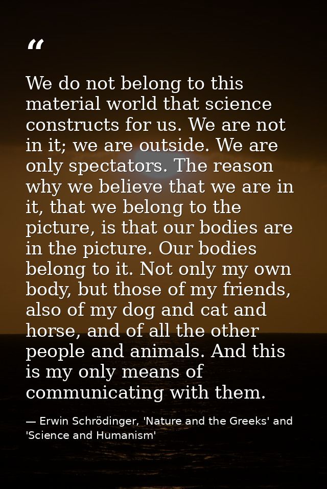 We do not belong to this material world that science constructs for us. We are not in it; we are outside. We are only sp — Erwin Schrödinger, 'Nature and the Greeks' and 'Science and Humanism'