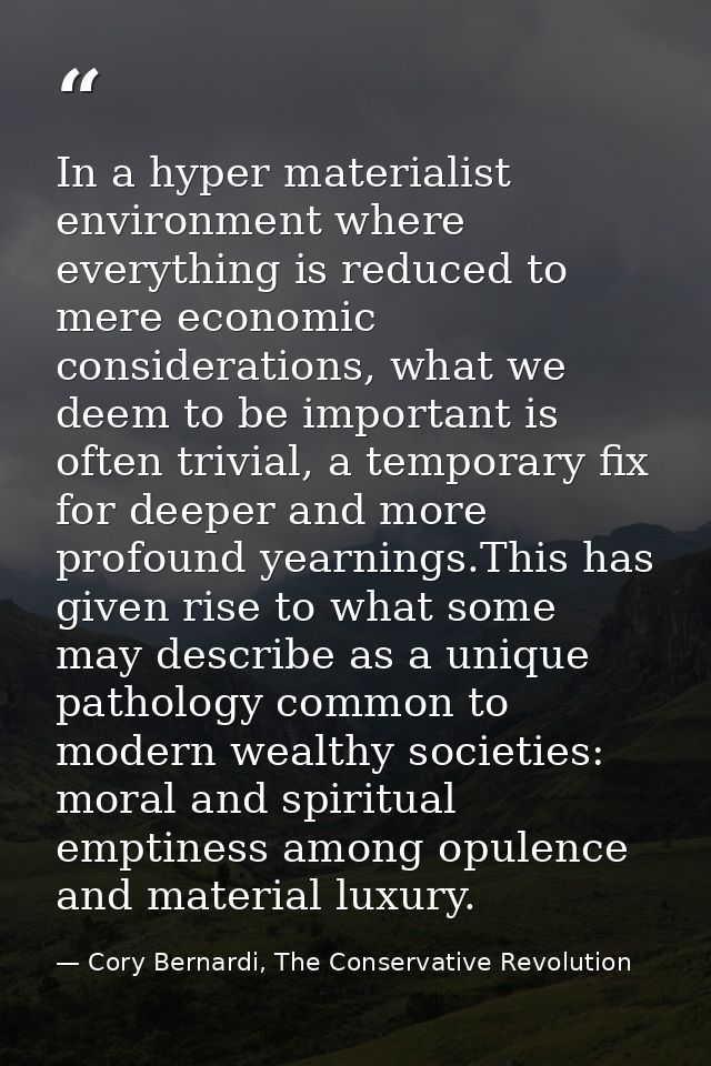 In a hyper materialist environment where everything is reduced to mere economic considerations, what we deem to be impor — Cory Bernardi, The Conservative Revolution