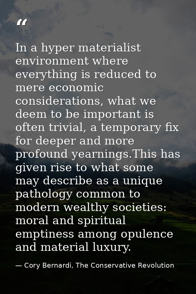 In a hyper materialist environment where everything is reduced to mere economic considerations, what we deem to be impor — Cory Bernardi, The Conservative Revolution