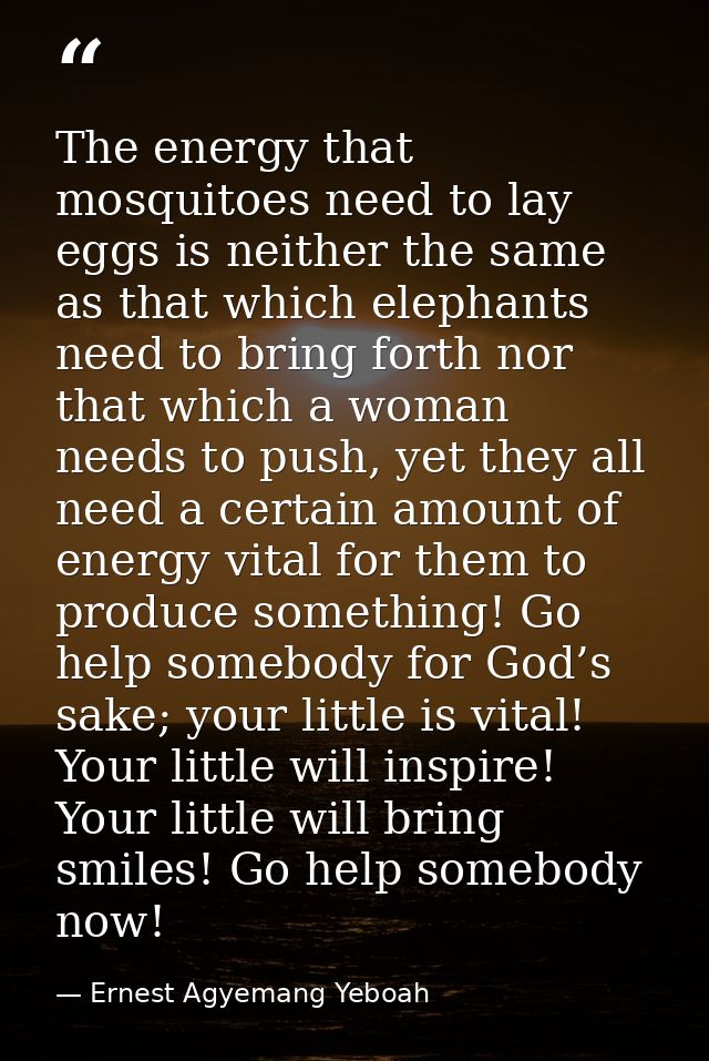 The energy that mosquitoes need to lay eggs is neither the same as that which elephants need to bring forth nor that whi — Ernest Agyemang Yeboah