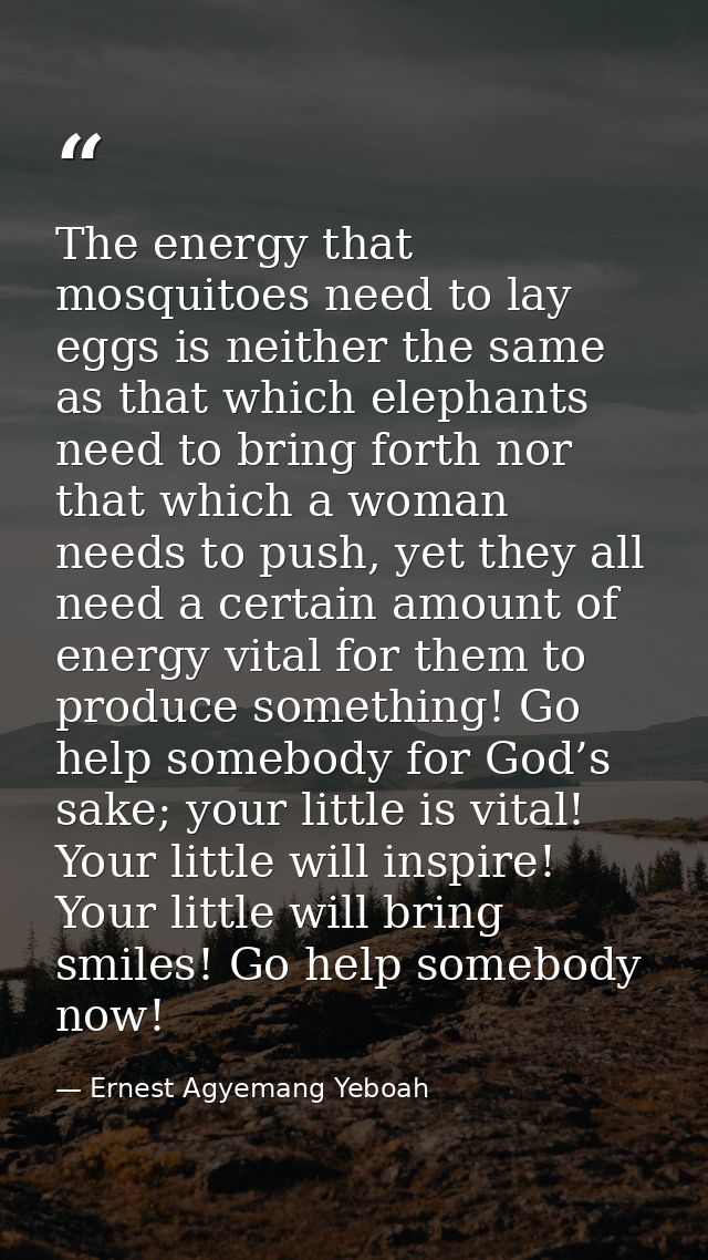 The energy that mosquitoes need to lay eggs is neither the same as that which elephants need to bring forth nor that whi — Ernest Agyemang Yeboah