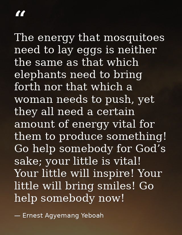 The energy that mosquitoes need to lay eggs is neither the same as that which elephants need to bring forth nor that whi — Ernest Agyemang Yeboah