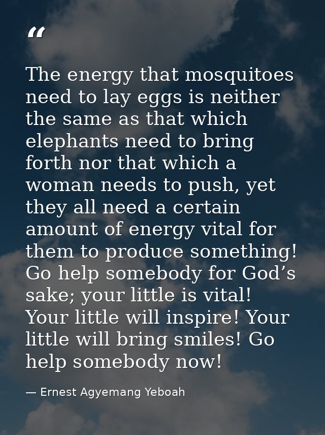 The energy that mosquitoes need to lay eggs is neither the same as that which elephants need to bring forth nor that whi — Ernest Agyemang Yeboah