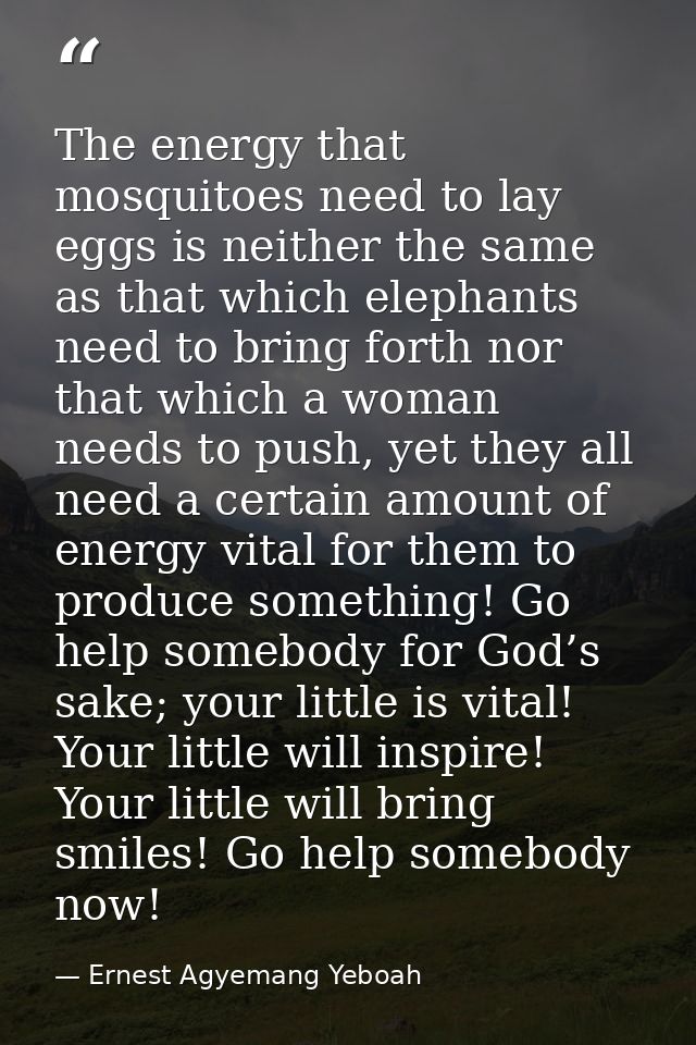 The energy that mosquitoes need to lay eggs is neither the same as that which elephants need to bring forth nor that whi — Ernest Agyemang Yeboah