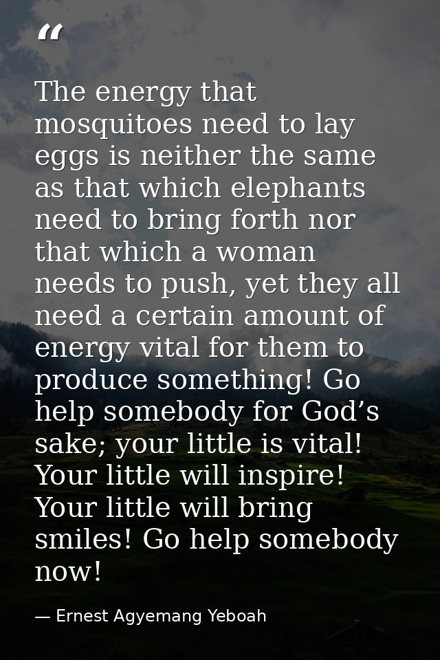 The energy that mosquitoes need to lay eggs is neither the same as that which elephants need to bring forth nor that whi — Ernest Agyemang Yeboah
