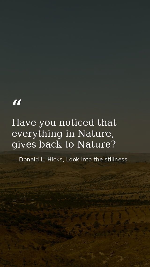 Have you noticed that everything in Nature, gives back to Nature? — Donald L. Hicks, Look into the stillness