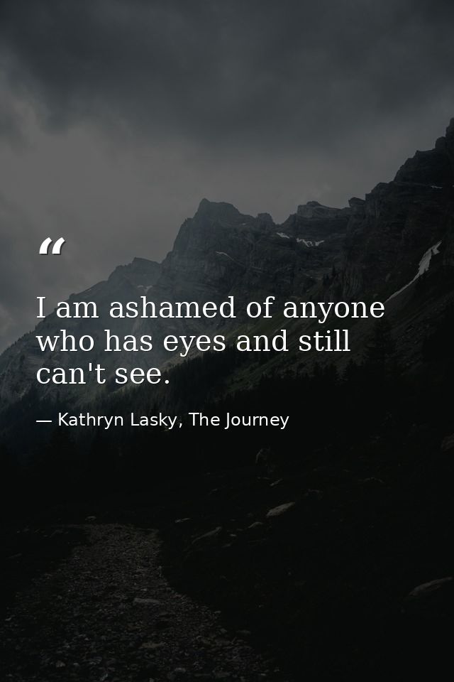 I am ashamed of anyone who has eyes and still can't see. — Kathryn Lasky, The Journey
