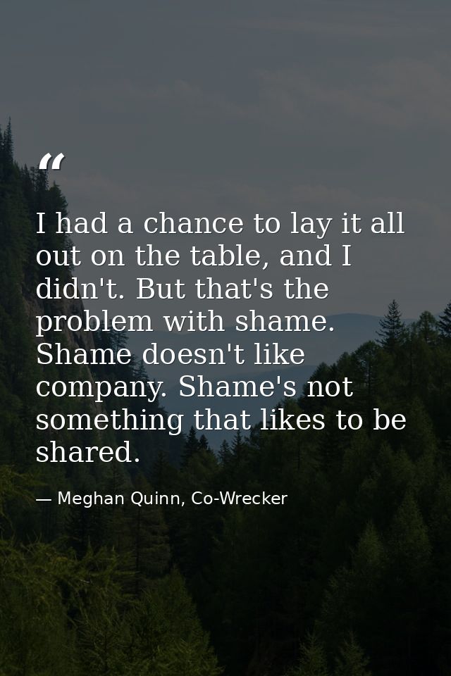 I had a chance to lay it all out on the table, and I didn't. But that's the problem with shame. Shame doesn't like compa — Meghan Quinn, Co-Wrecker