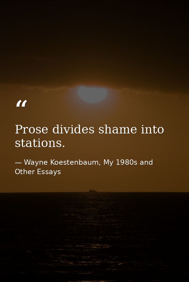 Prose divides shame into stations. — Wayne Koestenbaum, My 1980s and Other Essays