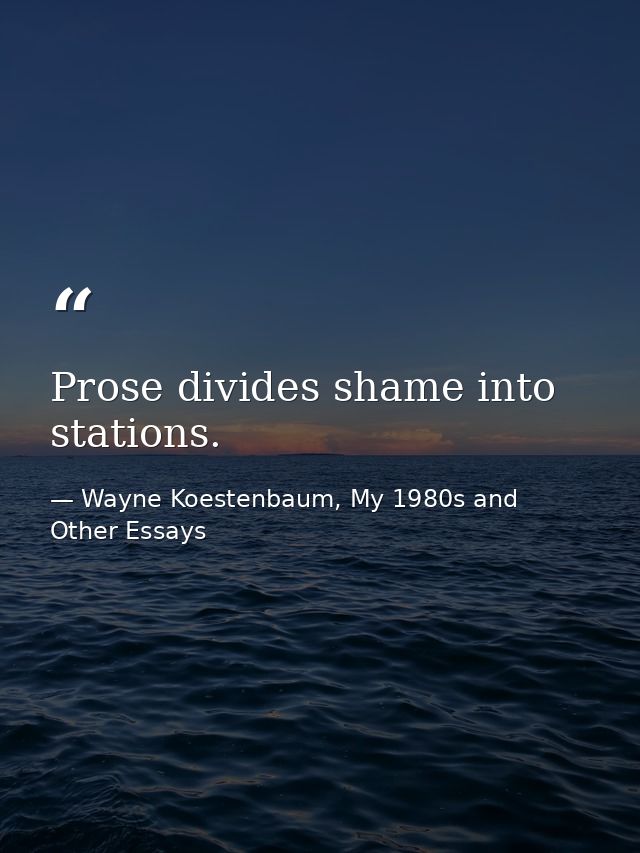 Prose divides shame into stations. — Wayne Koestenbaum, My 1980s and Other Essays