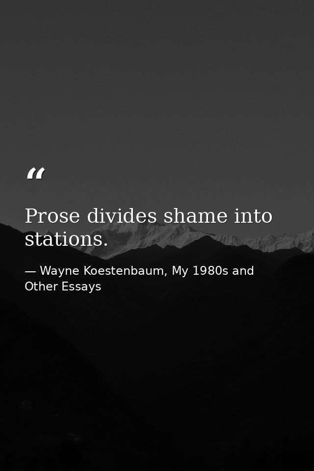 Prose divides shame into stations. — Wayne Koestenbaum, My 1980s and Other Essays