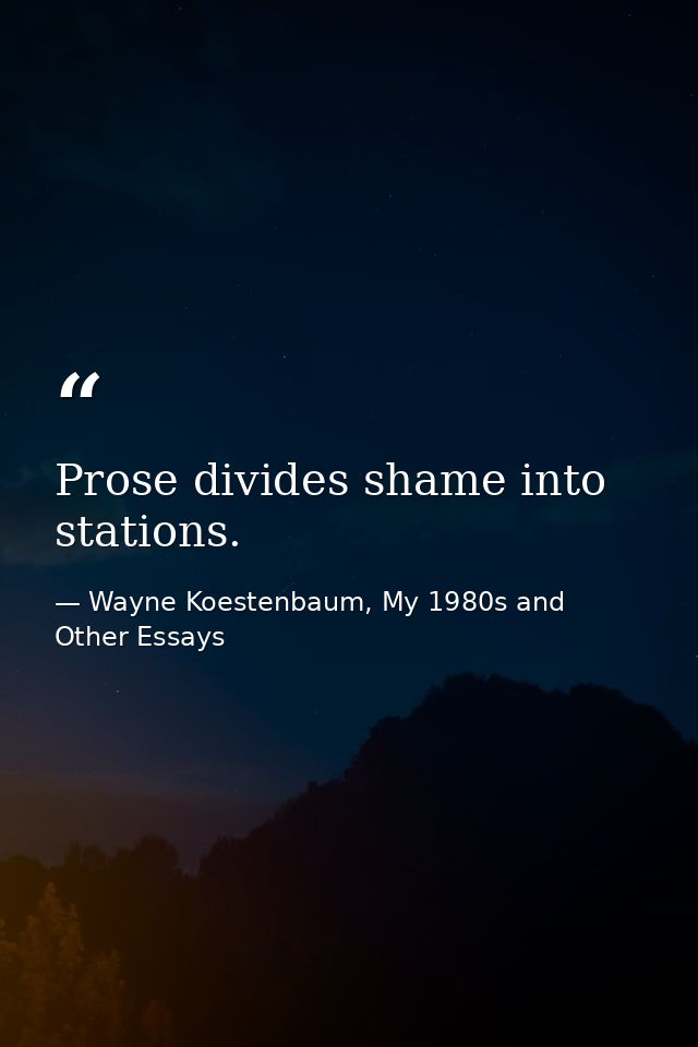 Prose divides shame into stations. — Wayne Koestenbaum, My 1980s and Other Essays