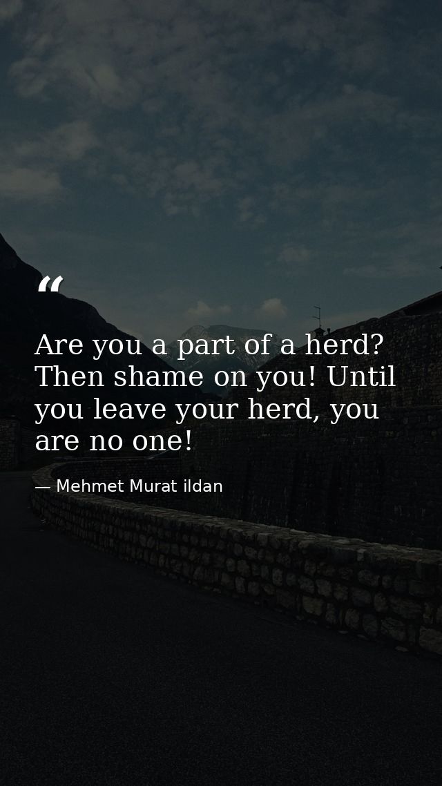 Are you a part of a herd? Then shame on you! Until you leave your herd, you are no one! — Mehmet Murat ildan