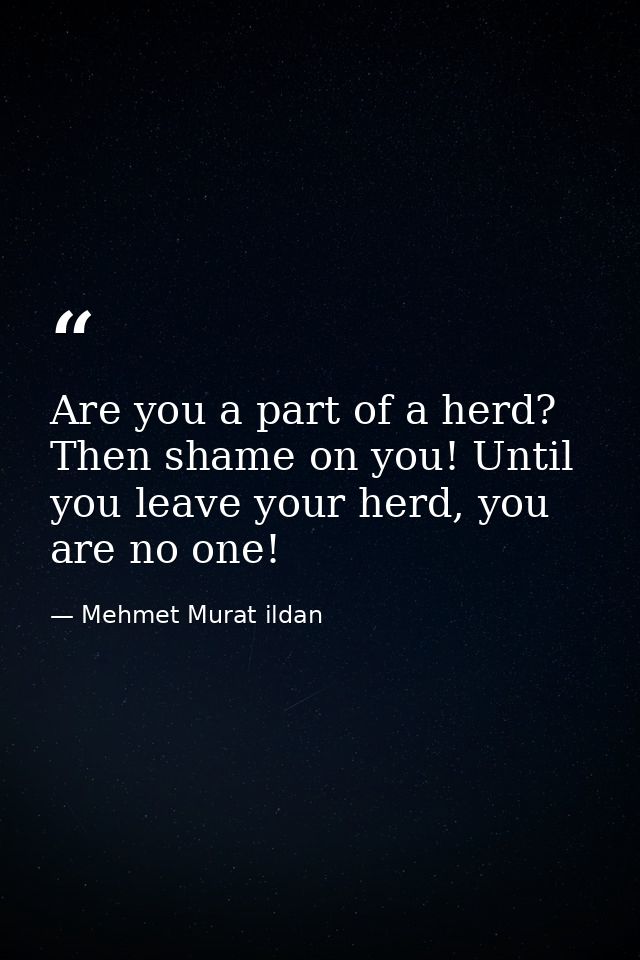 Are you a part of a herd? Then shame on you! Until you leave your herd, you are no one! — Mehmet Murat ildan