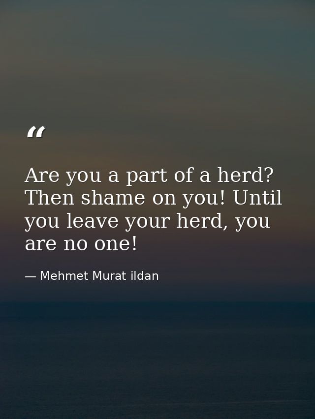 Are you a part of a herd? Then shame on you! Until you leave your herd, you are no one! — Mehmet Murat ildan