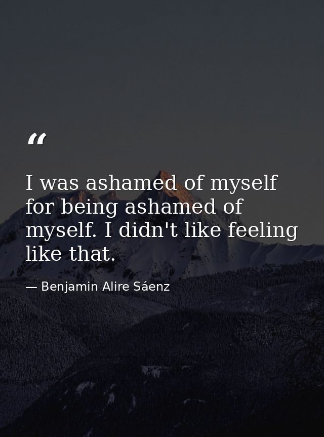 I was ashamed of myself for being ashamed of myself. I didn't like feeling like that. — Benjamin Alire Sáenz