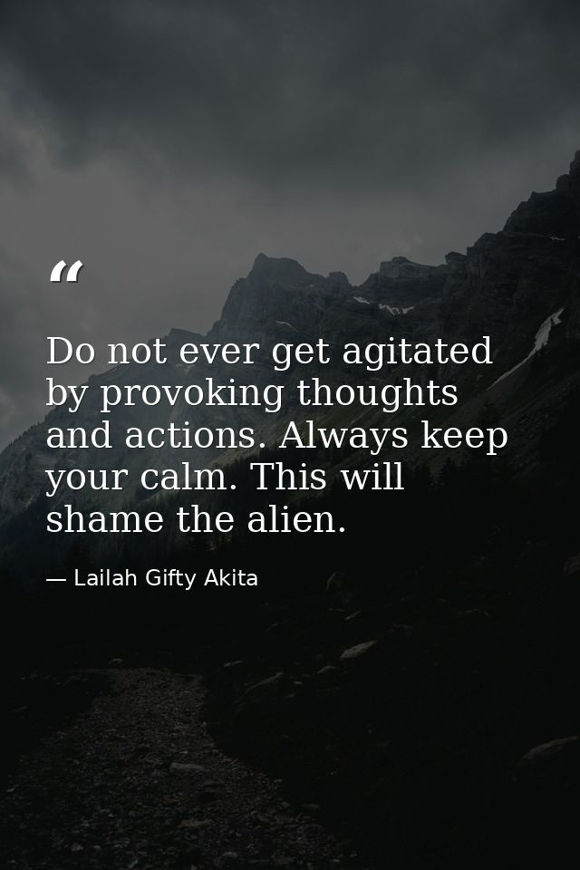 Do not ever get agitated by provoking thoughts and actions. Always keep your calm. This will shame the alien. — Lailah Gifty Akita
