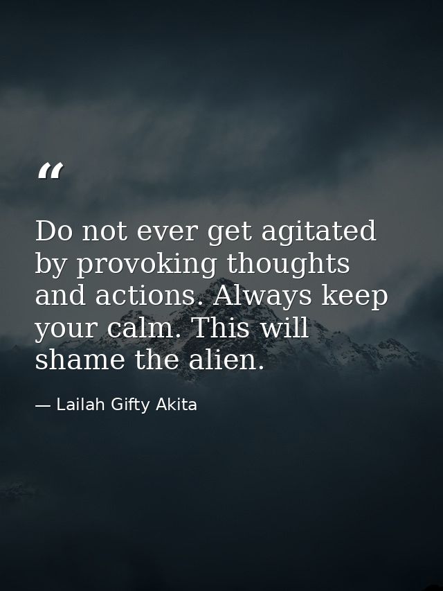 Do not ever get agitated by provoking thoughts and actions. Always keep your calm. This will shame the alien. — Lailah Gifty Akita