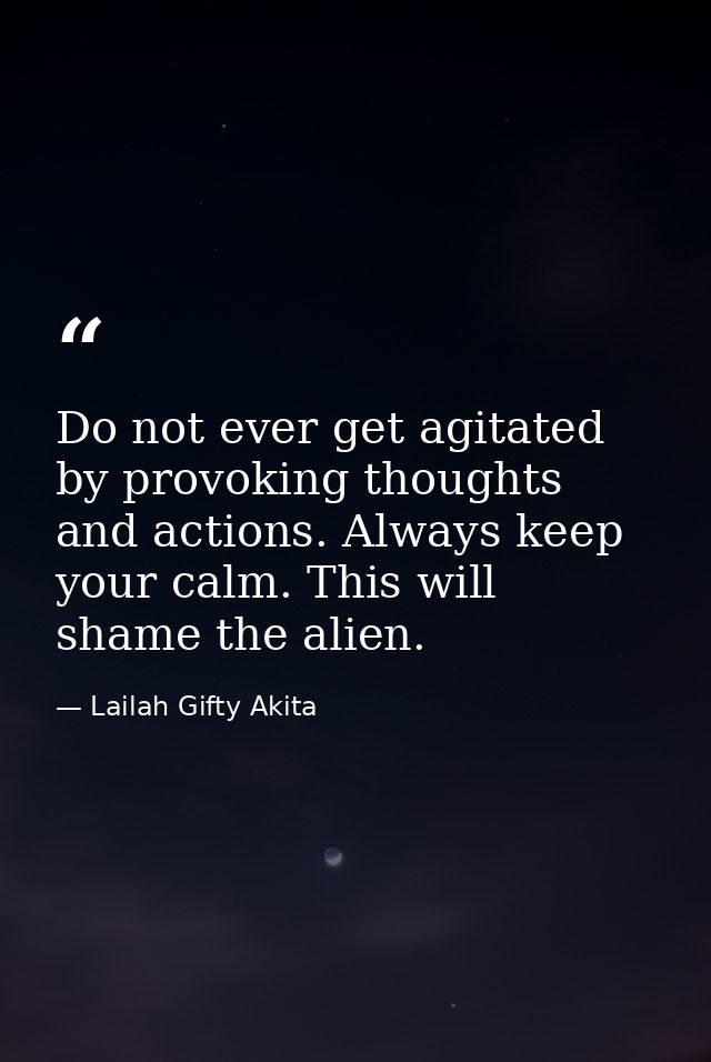 Do not ever get agitated by provoking thoughts and actions. Always keep your calm. This will shame the alien. — Lailah Gifty Akita