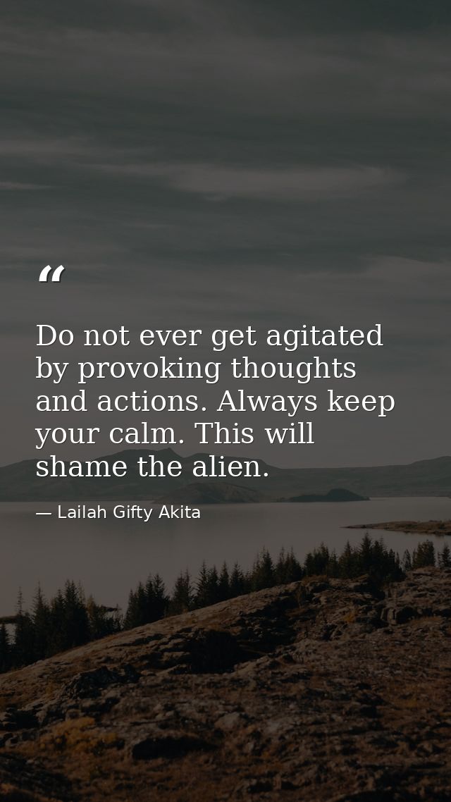 Do not ever get agitated by provoking thoughts and actions. Always keep your calm. This will shame the alien. — Lailah Gifty Akita