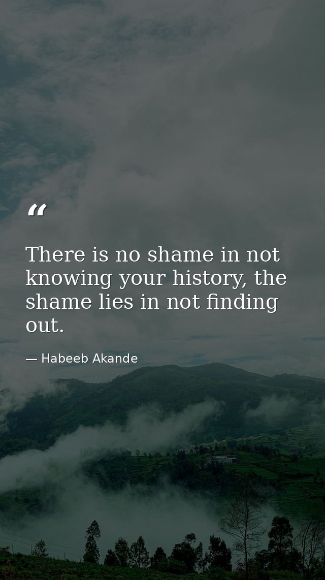 There is no shame in not knowing your history, the shame lies in not finding out. — Habeeb Akande