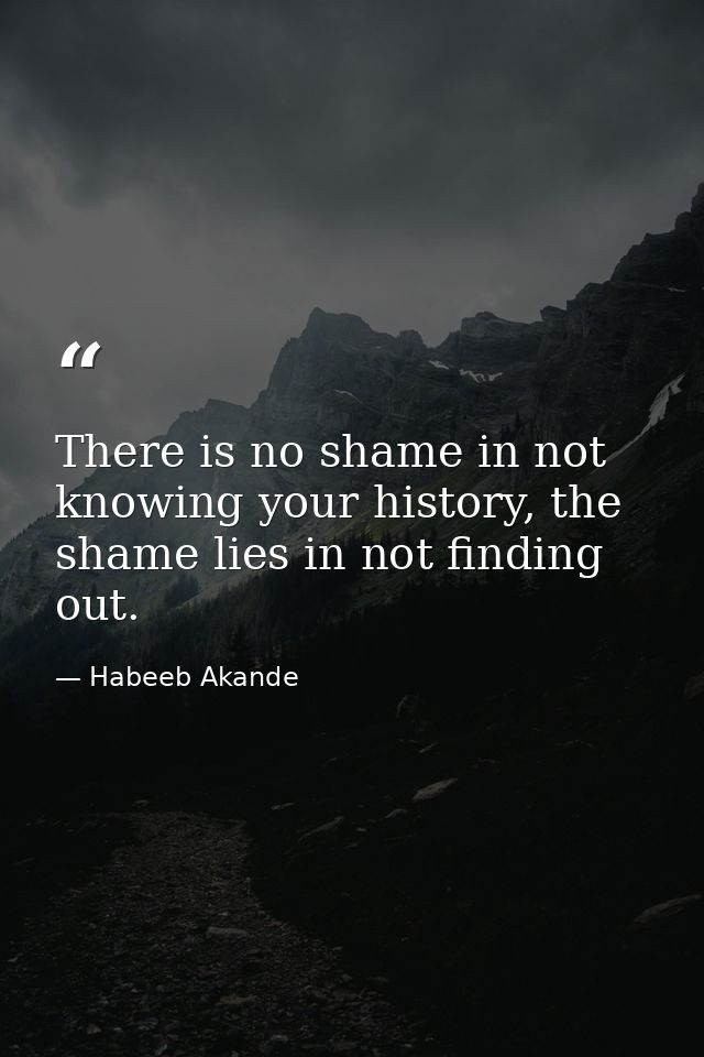 There is no shame in not knowing your history, the shame lies in not finding out. — Habeeb Akande