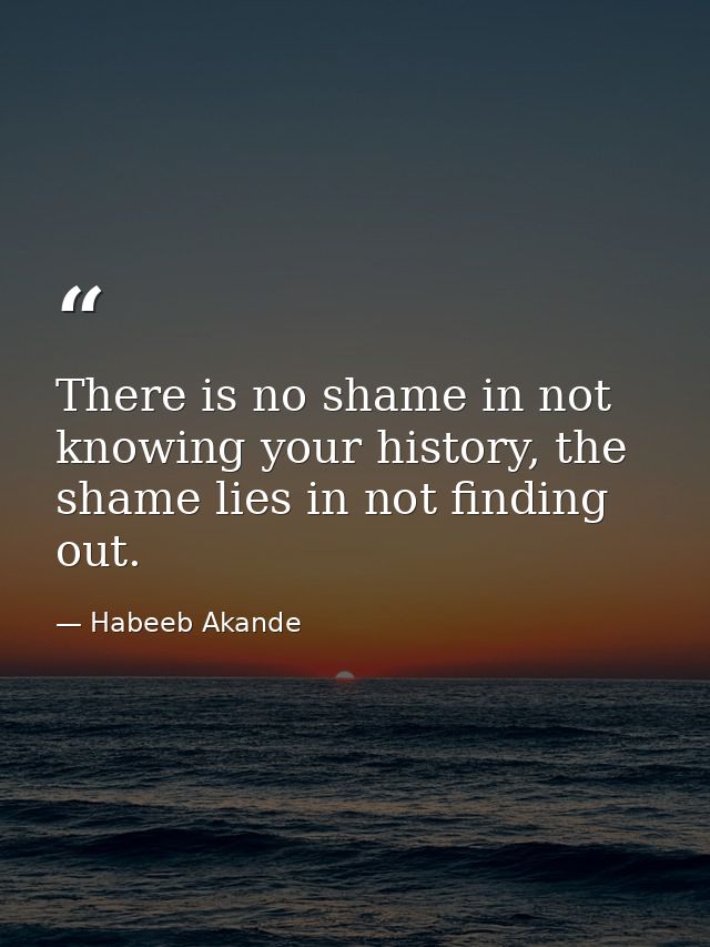 There is no shame in not knowing your history, the shame lies in not finding out. — Habeeb Akande