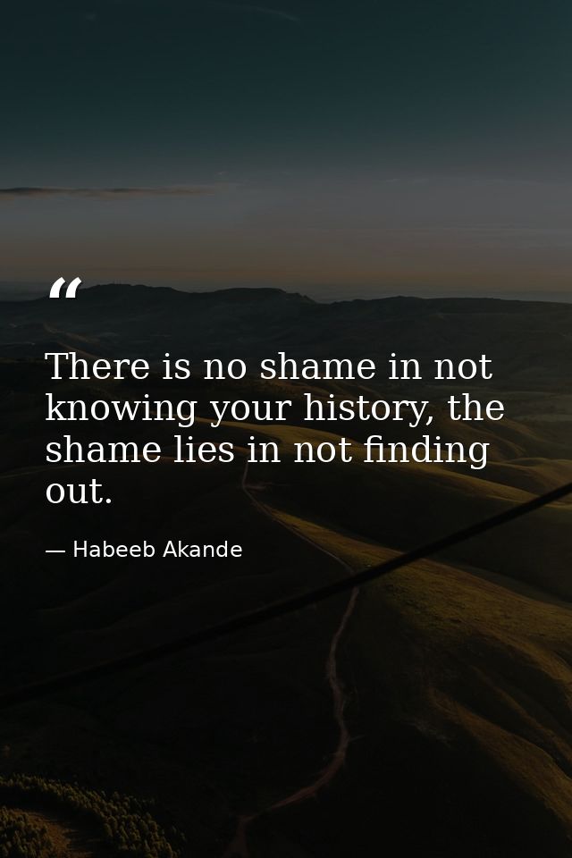 There is no shame in not knowing your history, the shame lies in not finding out. — Habeeb Akande