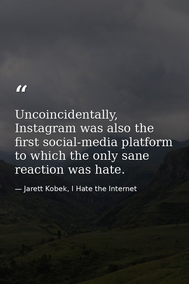 Uncoincidentally, Instagram was also the first social-media platform to which the only sane reaction was hate. — Jarett Kobek, I Hate the Internet